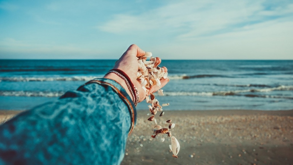 hand holding sea shells on beach