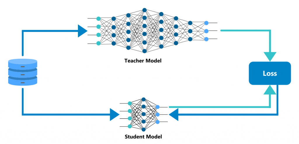 teacher-student model