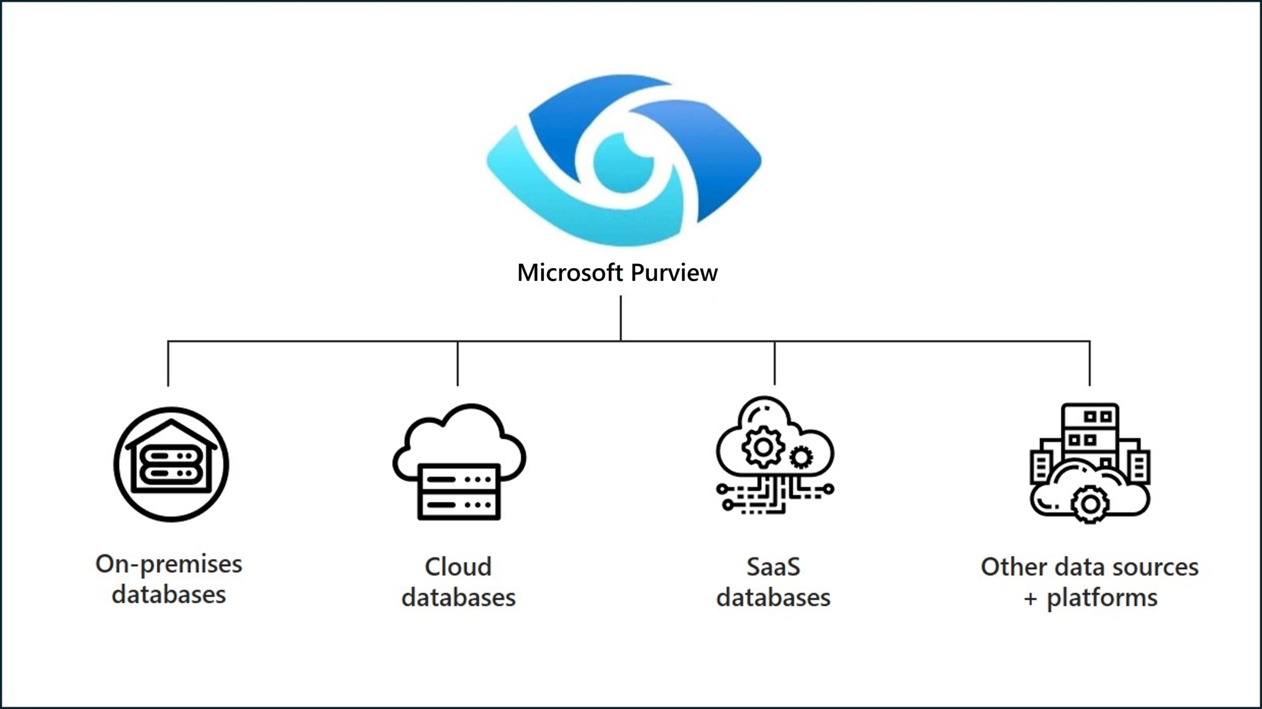 Microsoft Purview across your data estate